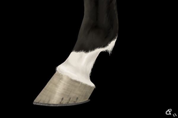 The Hoof