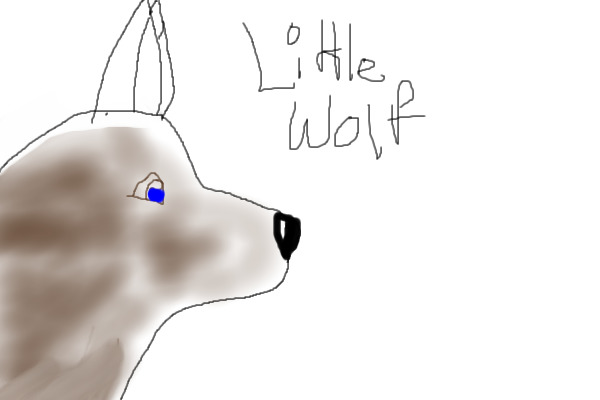 ~ Little Wolf~
