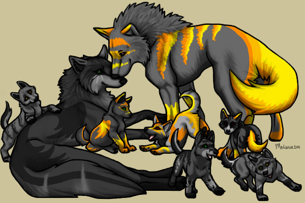 Lylium/Black Random X Streaked Fire Wolf Breeding