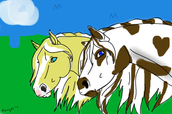 Two horses