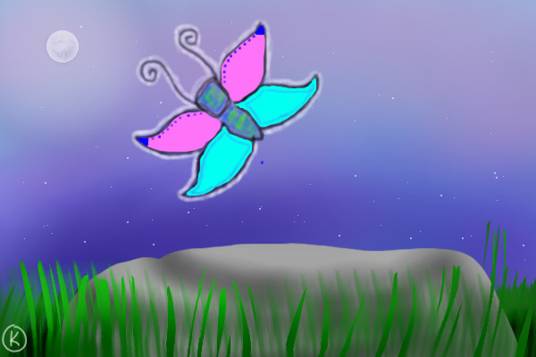 pretty butterfly