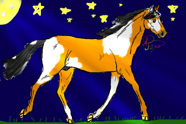 Horse in the moonlight