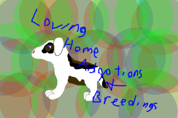 Loving Home Adoptions and Breedings