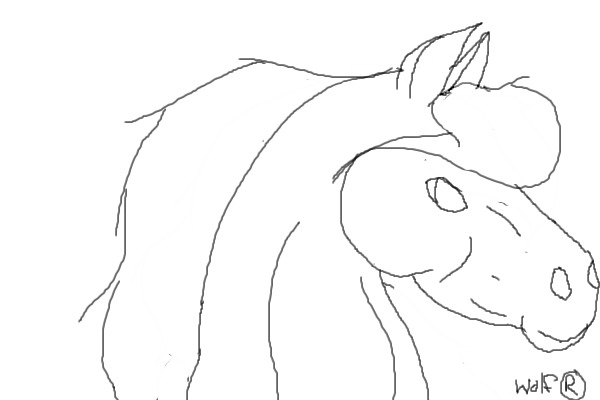Quick horse line art