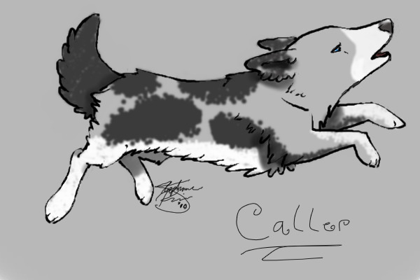 Caller<3