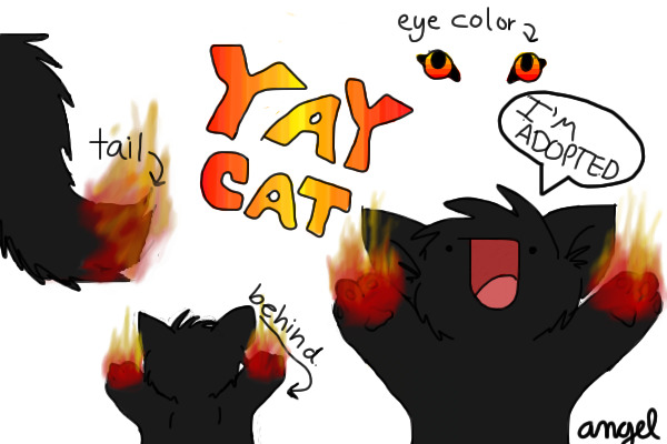 Fire Yay Cat
