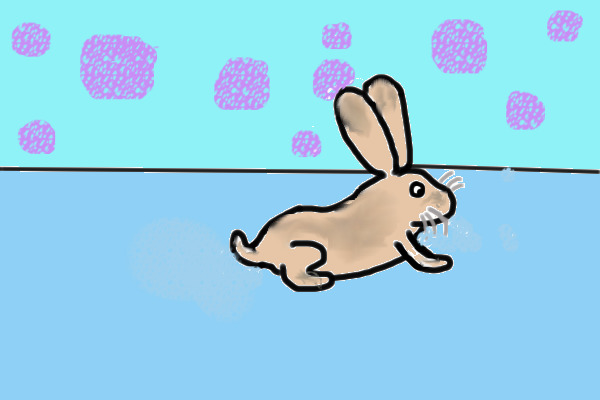 Saba's bunny