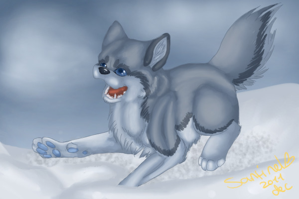 wolfeh in snow :D