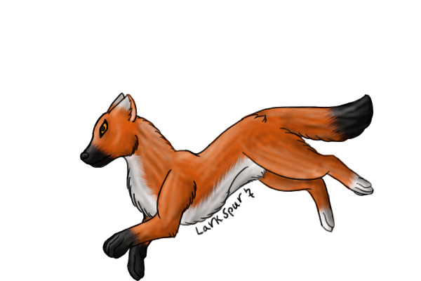 Fox lineart