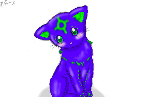 space cat