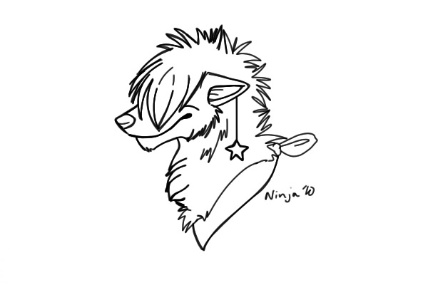 Sparkle dog?
