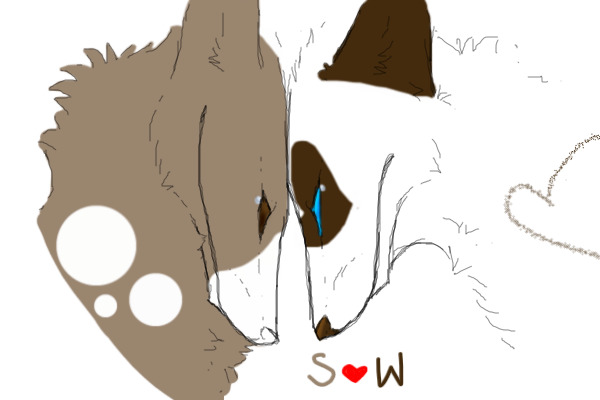 S<3W