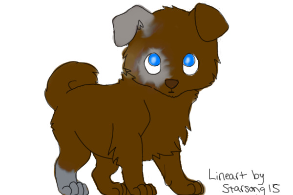 brown and grey puppy with blue eyes