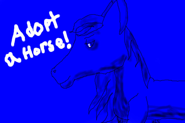 Adopt a horse 100% free!!!