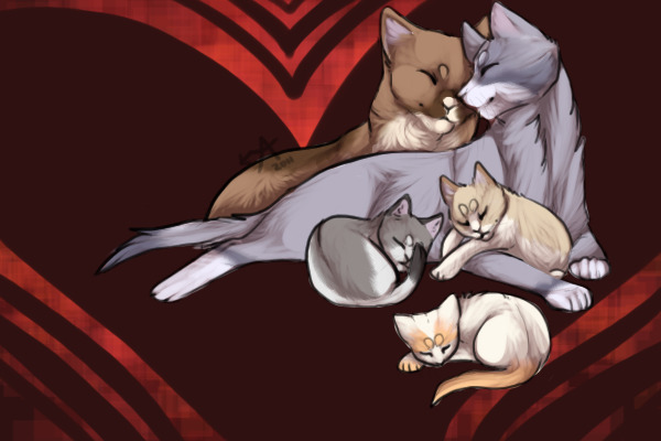 Ragdoll cat family. Lila x Georgie. Free kittens.
