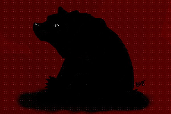 Bear in Shadow