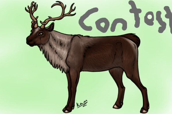 Deer Comp.