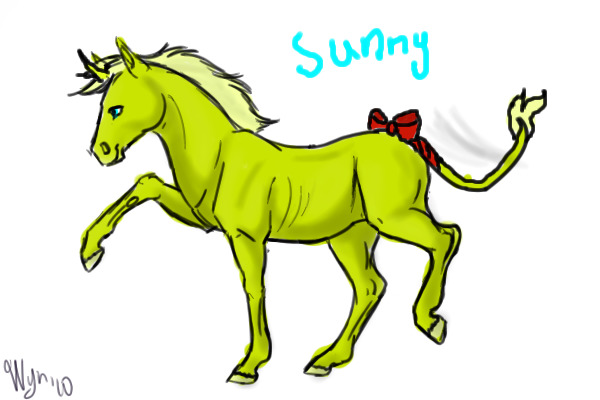 Sunny