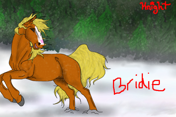 Bridie