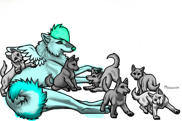 Serrana(for breeding!)