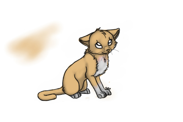 Cream Kitty
