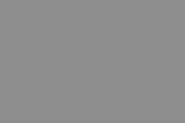 WOK design