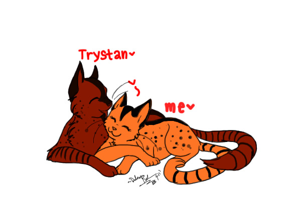 Trystan... and me?