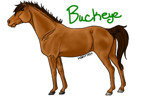 Buckeye