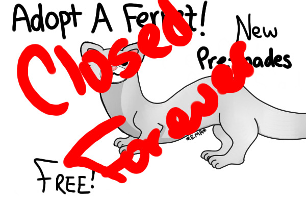 Adopt a ferret: Pre-mades!