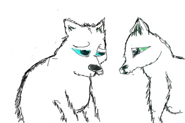 Two Wolves