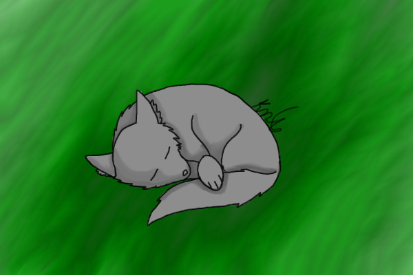 Sleeping animal (diff species)