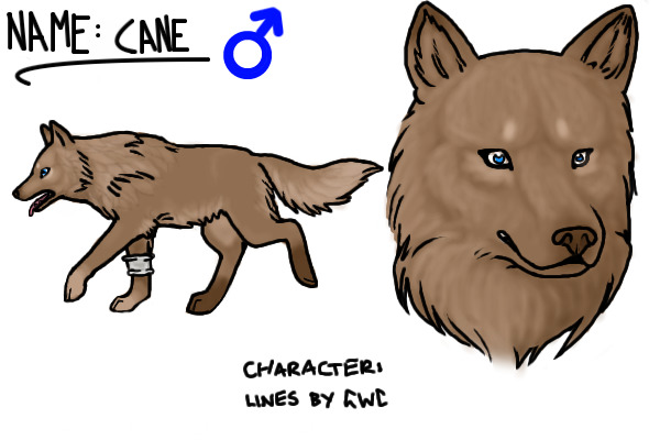 Colored Canine