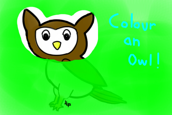 Owl!