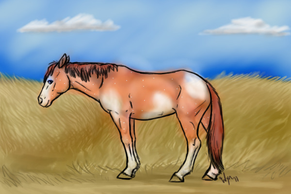 Strawberry Roan Paint Horse