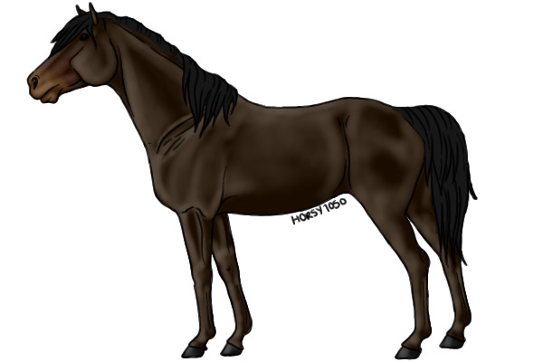 Dark Bay Horse