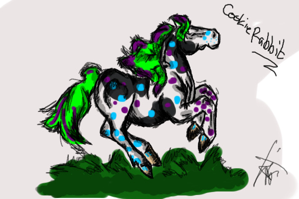 A horse For Fun