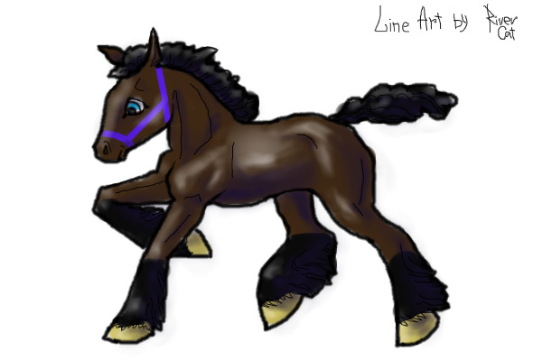 Foal