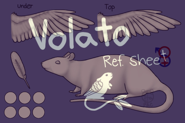 The Volato Reference Sheet ^^