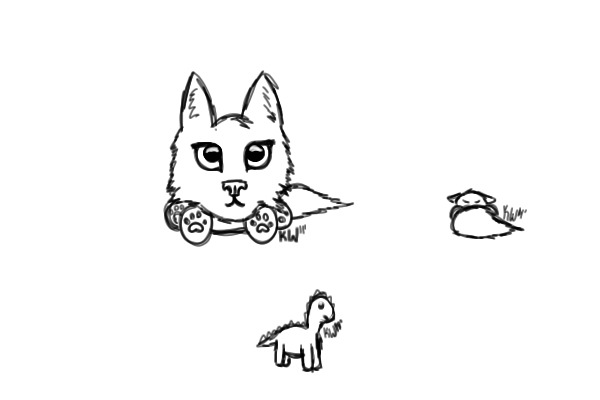 Possible Adoptable?