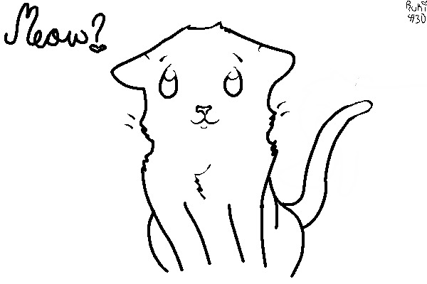 Kitty Beg <3