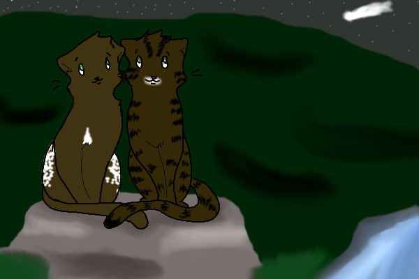 FawnpawxRaccoonpaw