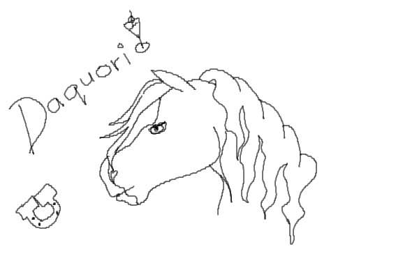 A horse