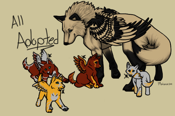 Pups for Adoption!