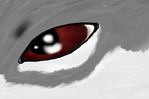 Wolf eye