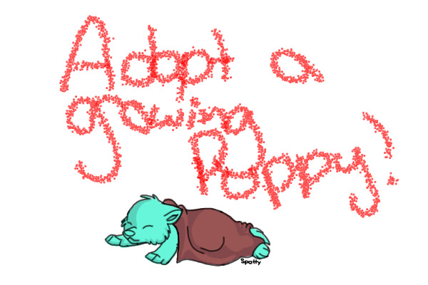 Adopt a puppy ~ Open