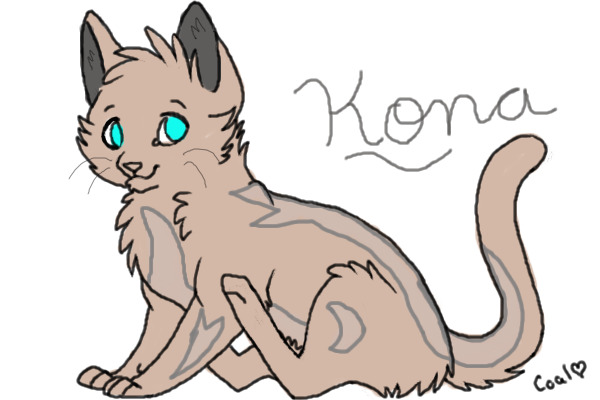 Kalber's Kona
