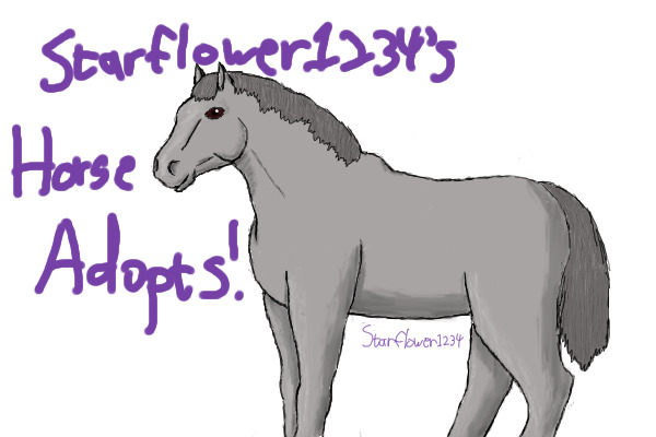 Starflower1234's Horse Adoptables