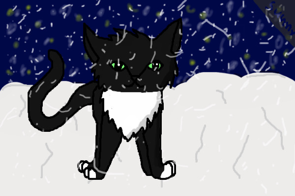 Pick up #1:- Warriorskitty