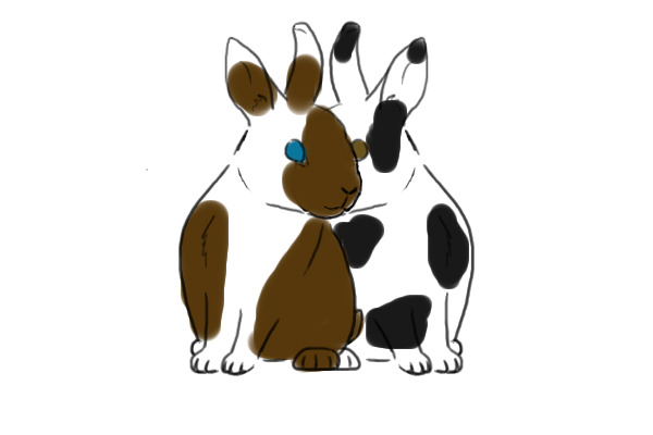 bunnies