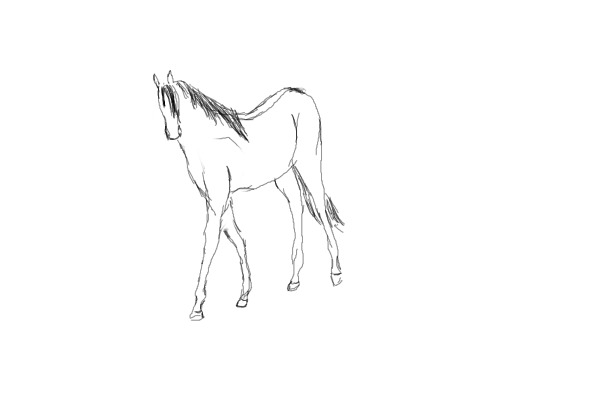 Attempt to draw a horse